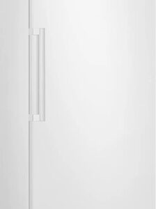 Réfrigérateur SAMSUNG RR70H39FDV – Image 2