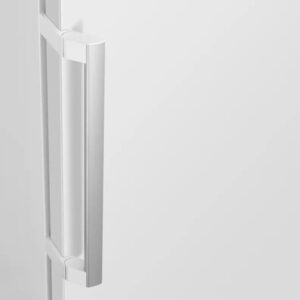 Réfrigérateur SAMSUNG RR70H39FDV – Image 3