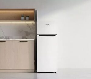 Réfrigérateur FAGOR FDP211DW – Image 3
